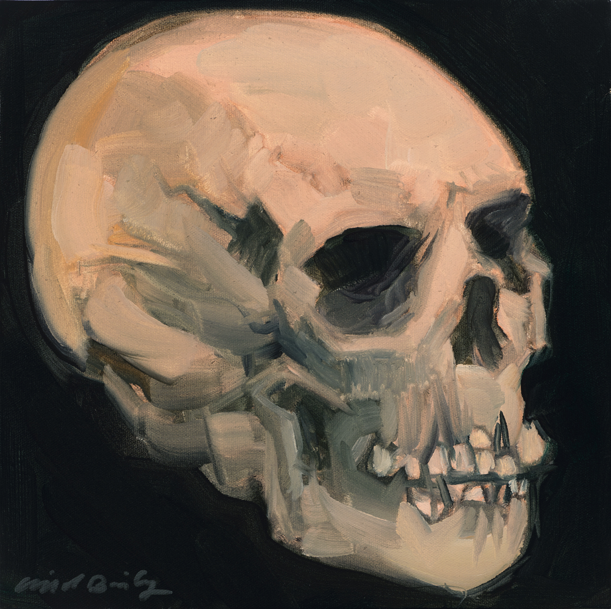 Clifford Bailey Fine Art, Skull